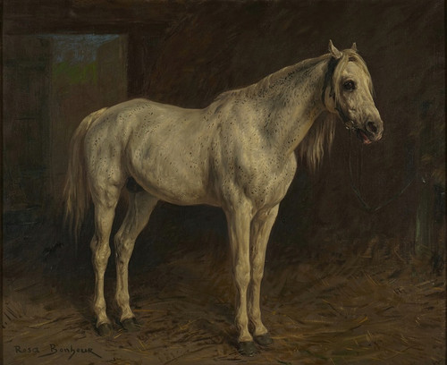 Digital Print - White Horse by Rosa Bonheur