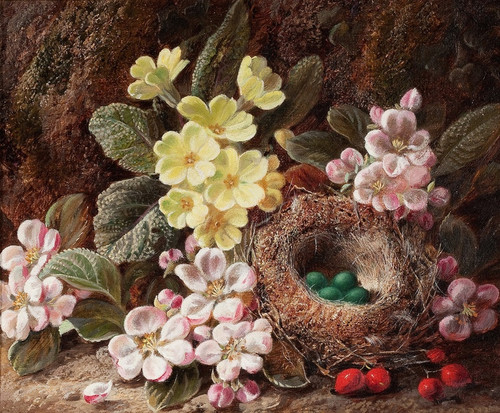 Digital Print - Still Life with Apple Blossom, Primroses, and Bird's Nest by George Clare