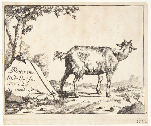 Digital Print - Titelblad til Geder og gedebukke by Marcus de Bye