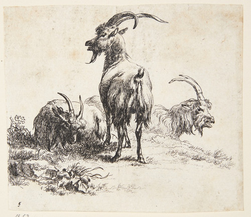 Digital Print - Tre geder by Nicolaes Pietersz. Berchem