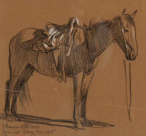 Digital Print - Horse Study by Maynard Dixon