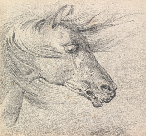 Digital Print - Head and Neck of a Horse in Fear or Exhaustion, Mane Swept Forwards, Profile Right by Henry Thomas Alken