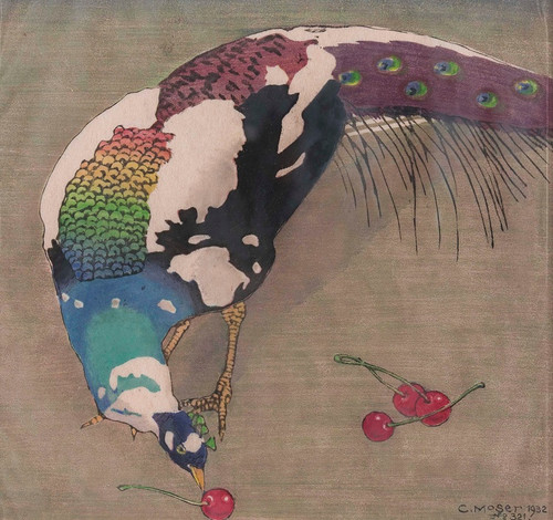 Digital Print - Weigefleckter Pfau by Carl Moser