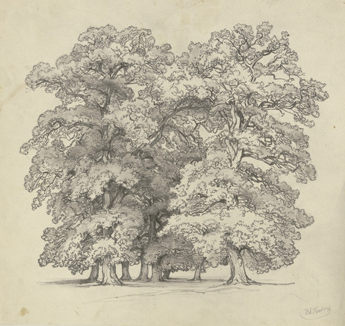 Digital Print - Felling of trees by Jakob Becker