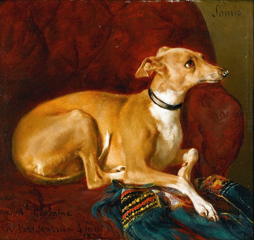 Digital Print - A Greyhound Resting On A Chair by Jacques-Raymond Brascassat