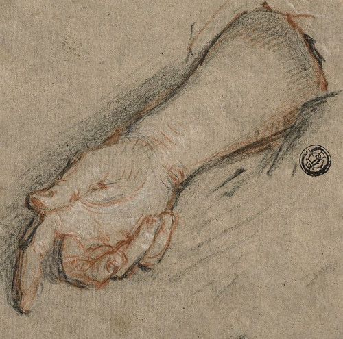 Digital Print - Back of Hand and Forearm by Antoine Coypel