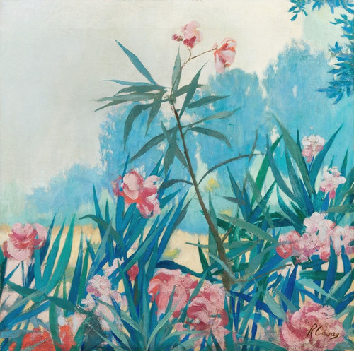 Digital Print - Oleanders by Ramn Casas