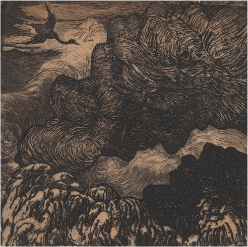 Digital Print - Comorans volant au-dessus des vagues (Swan flying over crashing waves) by Armand Seguin