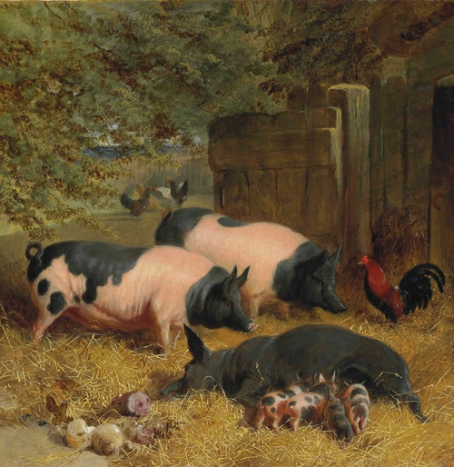 Digital Print - Berkshire Saddlebacks and Chickens in a Straw-bedded Yard by John Frederick Herring Snr.