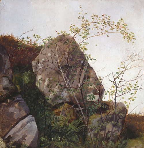 Digital Print - Study of Dog Roses and Ferns by Adolph Tidemand Digital Print - Study of Dog Roses and Ferns by Adolph Tidemand