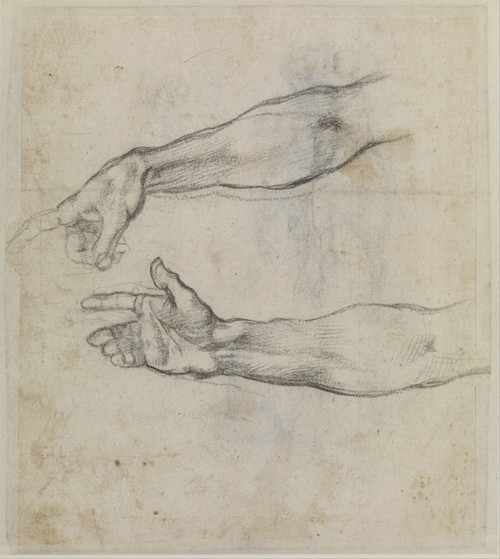 Digital Print - Studies of an outstretched arm for the fresco 'The Drunkenness of Noah' in the Sistine Chapel by Michelangelo