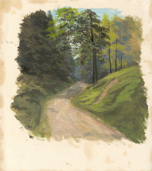 Digital Print - Mountain Road by Jan Nowopack