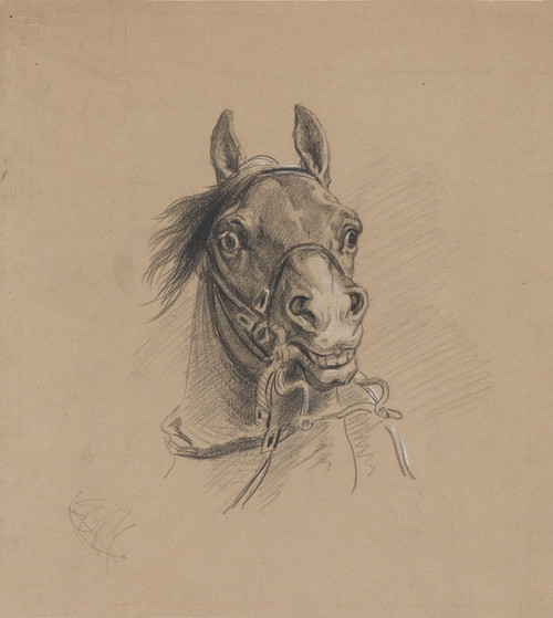 Digital Print - Hest med oppspilte nesebor by Adolph Tidemand