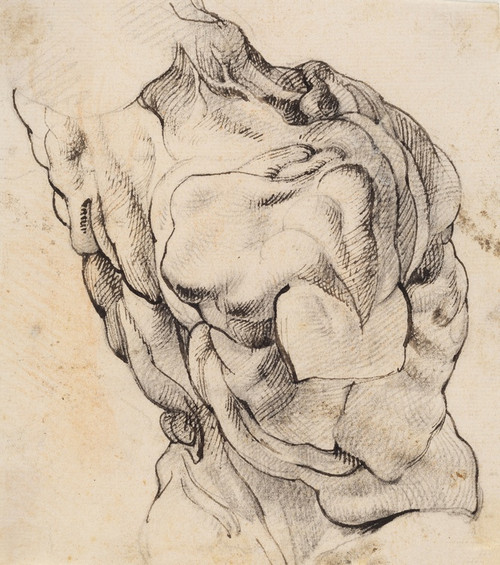 Digital Print - Anatomical Study (corch). Torso of a flayed man seen from the back half turned to the right by Willem Panneels
