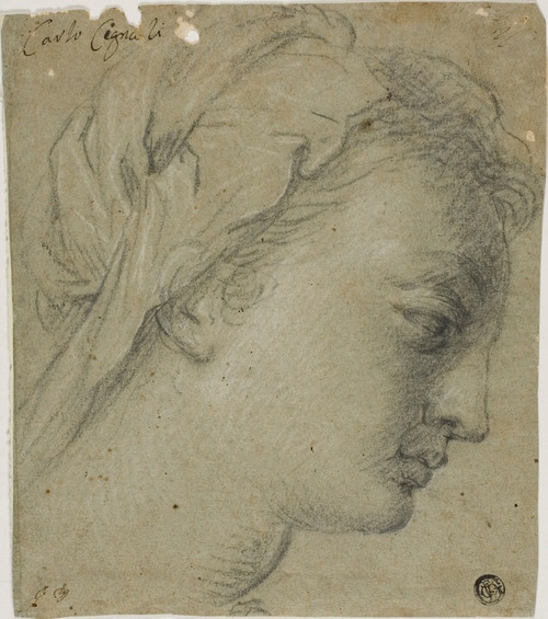 Digital Print - Female Head in Profile to Right by Carlo Cignani