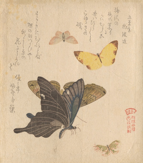 Digital Print - The Painting Manual of Flock of Butterflies (GunchoGafu) 5 by Kubo Shunman