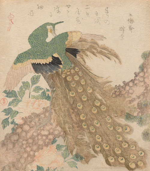 Digital Print - Of Three Pieces [Peacock] (Mi hira nouchi) by Kubo Shunman