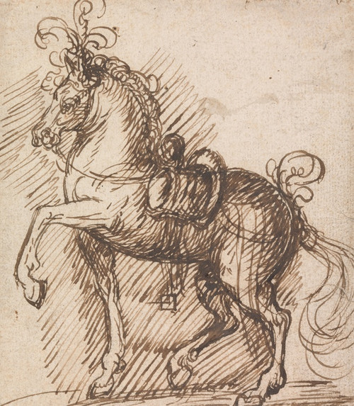 Digital Print - A Plumed Saddle-Horse by Inigo Jones