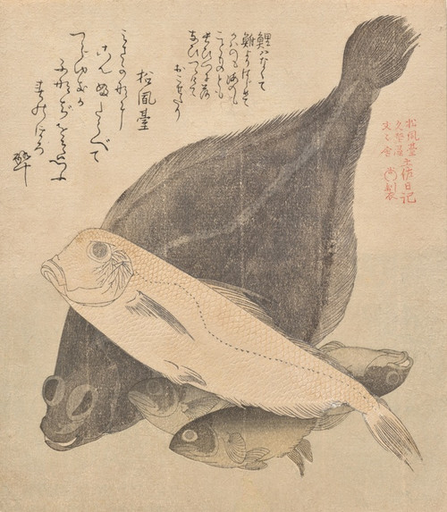 Digital Print - Flounder, Tilefish, and Three Crucian Carp, from the series Tosa Diary (Tosanikki) by Kubo Shunman