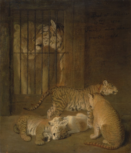 Digital Print - Group of Whelps Bred between a Lion and a Tigress by Jacques-Laurent Agasse