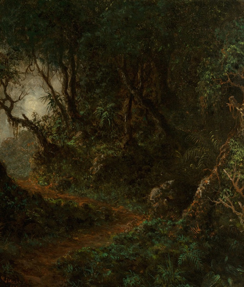 Digital Print - Tropical Greenery (Tropical Landscape) by Martin Johnson Heade