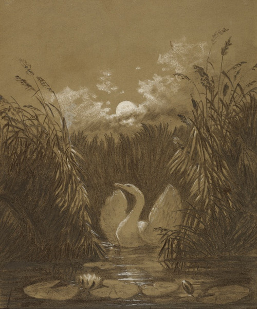 Digital Print - A Swan Among the Reeds, by Moonlight by Carl Gustav Carus