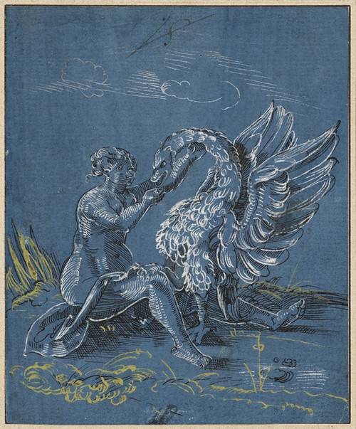 Digital Print - Leda and the swan by Virgil Solis