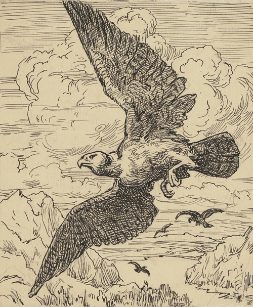 Digital Print - Vogel by Hans Thoma