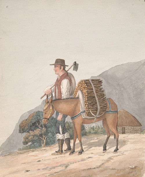 Digital Print - Firewood Seller, Tenerife by Alfred Diston