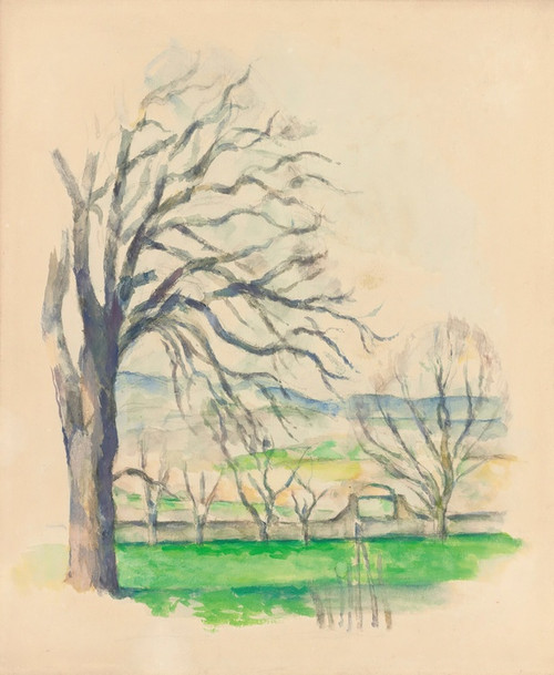 Digital Print - Arbre Dpouill AuJas De Bouffan by Paul Czanne