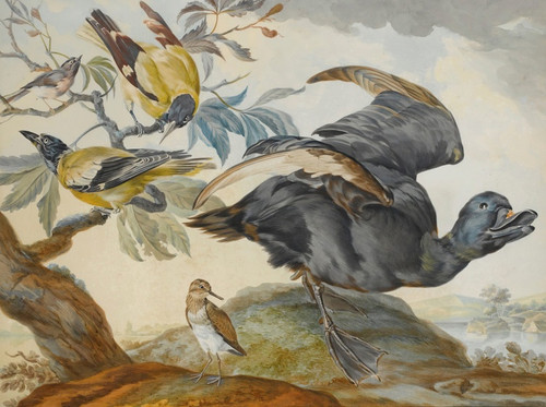 A Duck And Four Other Birds, Three On A Branch by Circle of Aert Schouman Art Print Download