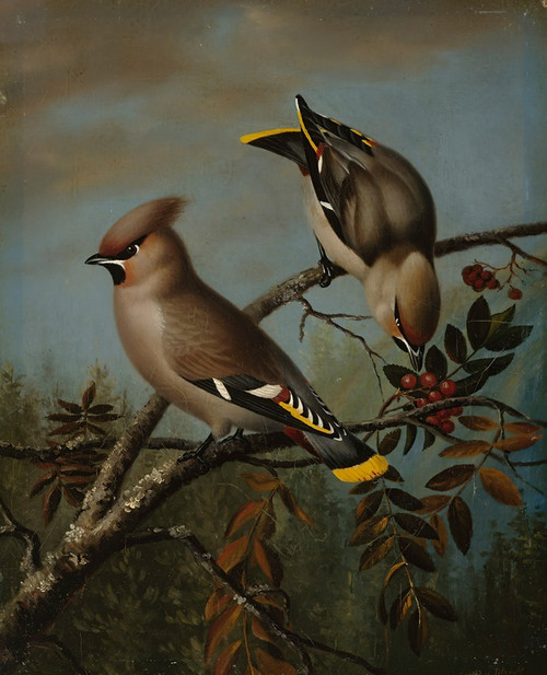 Digital Print - Tilh In Rowan by Magnus Von Wright