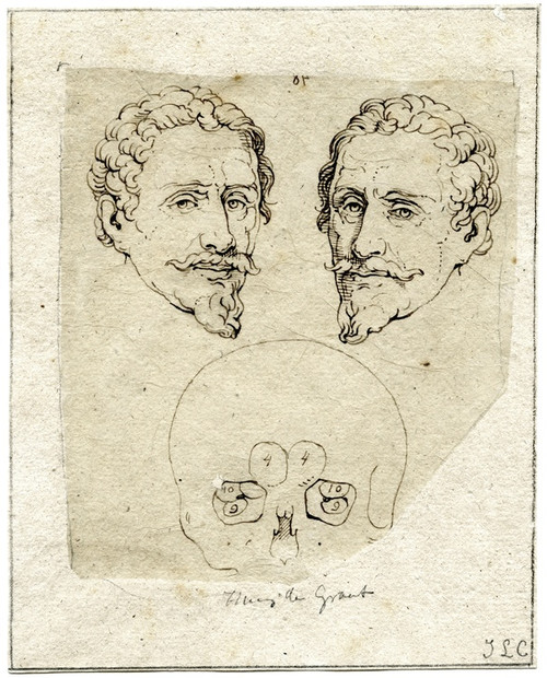 Digital Print - Kop van Hugo de Groot: beeld, spiegelbeeld en schedel by David Humbert de Superville