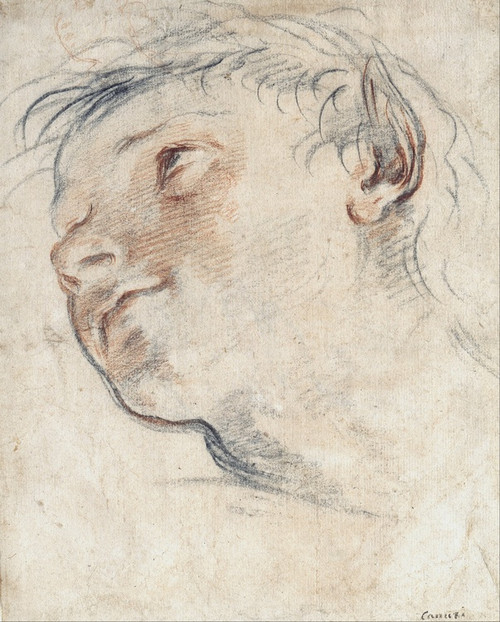 Digital Print - Study for the Head of a Faun by Domenico Maria Canuti