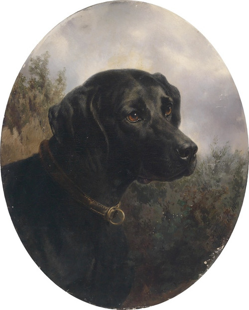 Digital Print - Hector by Carl Reichert Digital Print - Hector by Carl Reichert