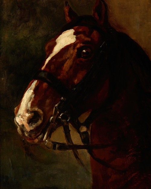 Digital Print - Bay Horse's Head by Piotr Michaowski