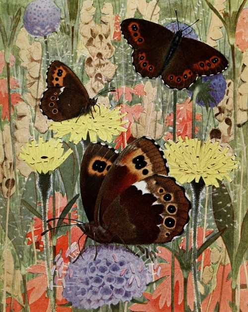 Digital Print - Le Grand-Ngre-Hongrois by Paul-Andre Robert