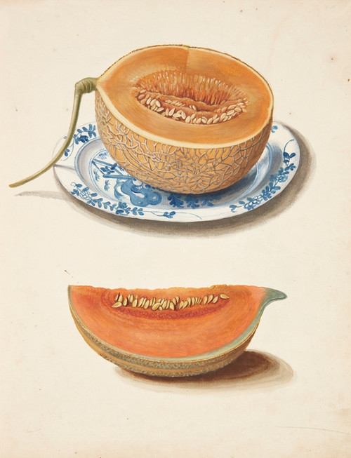Digital Print - Studie af to netmeloner, halveret og kvadreret by Johanna Fosie