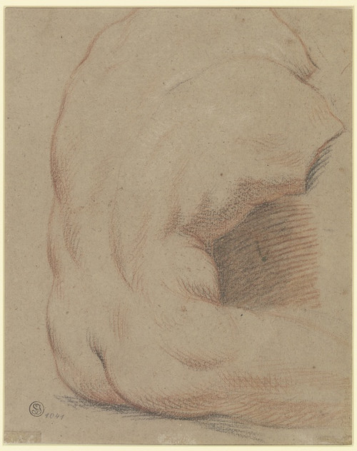 Digital Print - Rckenansicht eines mnnlichen Torso (Torso vom Belvedere) by Nicolas Lancret