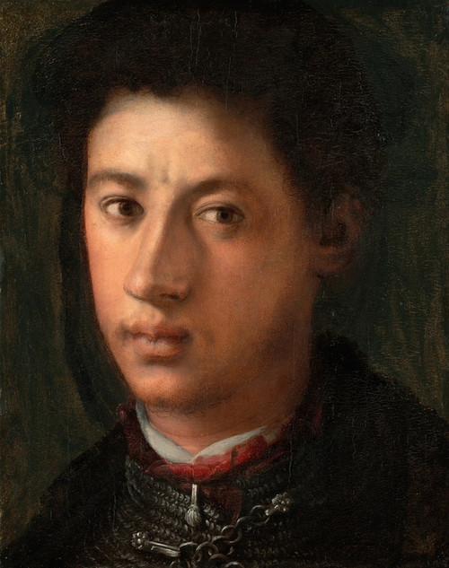 Digital Print - Alessandro de Medici by Pontormo (Jacopo Carucci)