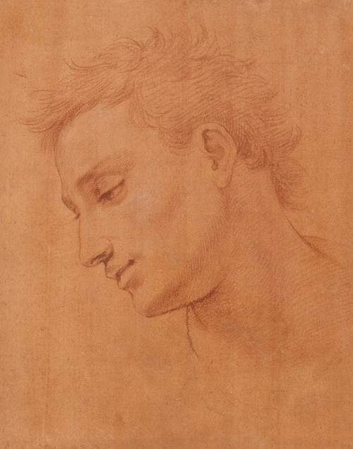 Digital Print - Head of Man in Profile to the Left by Girolamo Macchietti