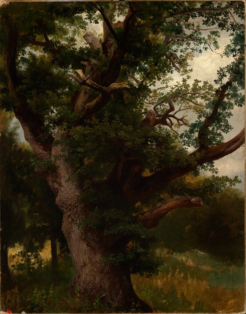 Digital Print - Eichbaum by Johann Wilhelm Schirmer