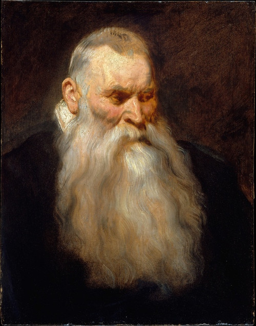 Digital Print - Study Head of an Old Man with a White Beard by Anthony van Dyck