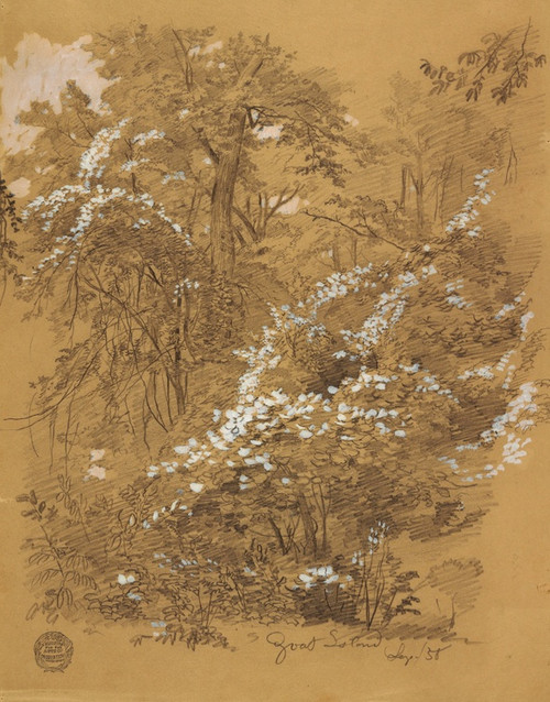 Digital Print - Woodland Scene, Goat Island, Niagara River, New York by Frederic Edwin Church Digital Print - Woodland Scene, Goat Island, Niagara River, New York by Frederic Edwin Church