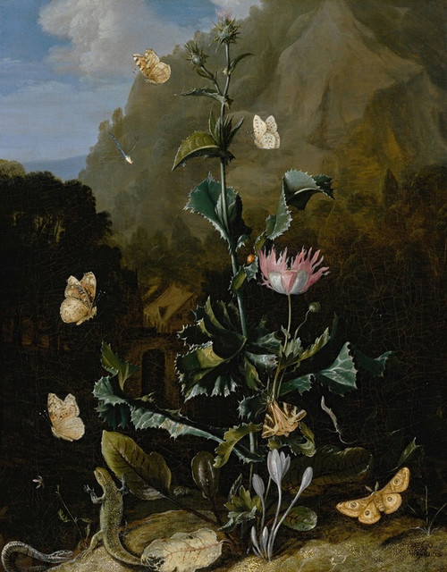 Digital Print - Still life of a thistle and other flowers surrounded by moths, a dragonfly, a lizard and a snake, in a landscape by Otto Marseus van Schrieck