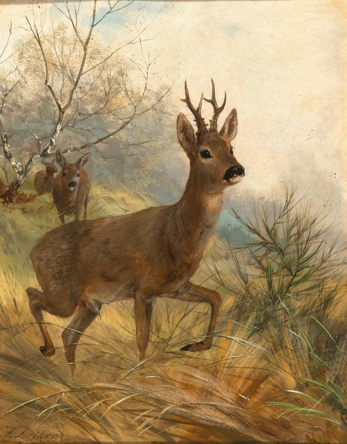 Digital Print - A Buck and a Doe by Carl Friedrich Deiker