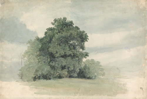 Study of Trees at the Edge of a Field by Cornelius Varley Art Print Download