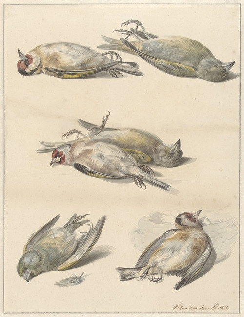 Digital Print - Zes dode vogeltjes by Willem van Leen