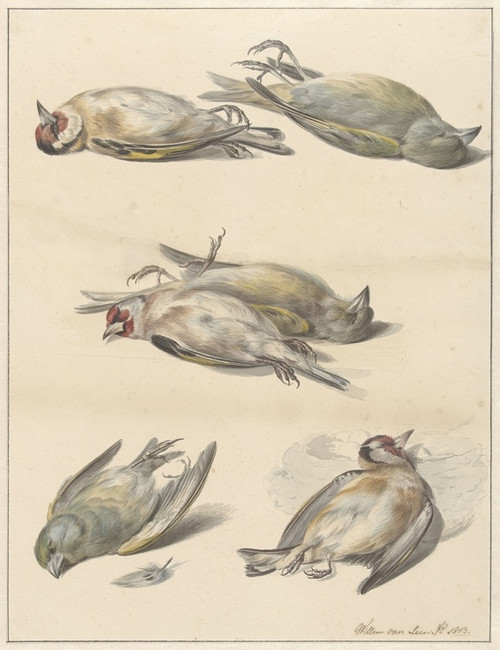 Digital Print - Zes dode vogeltjes by Willem van Leen