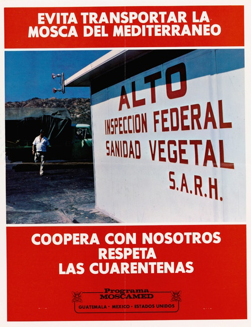 Digital Print - Evita Transportar La Mosca Mediterraneo by U.S. Information Agency